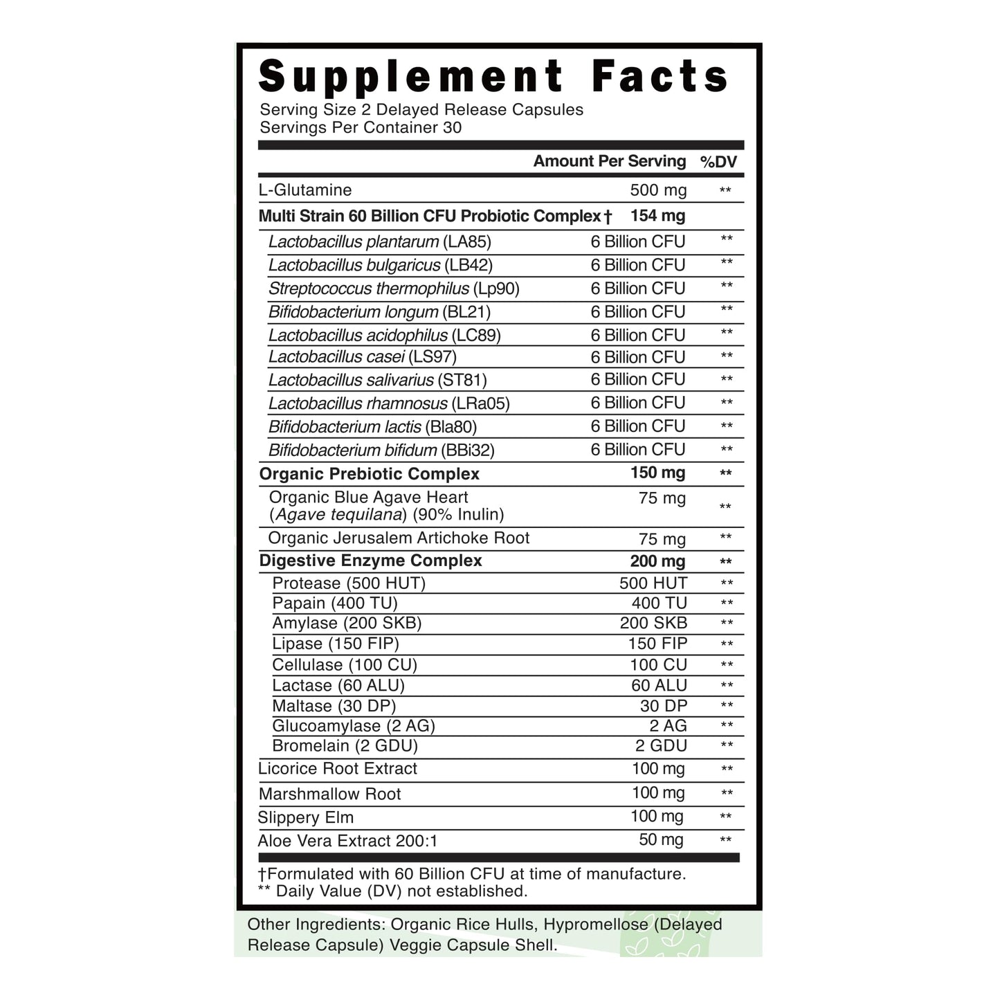 Probiotic Gut Support, 60 Capsules, 60 Billion CFU Probiotics, Digestive Enzymes