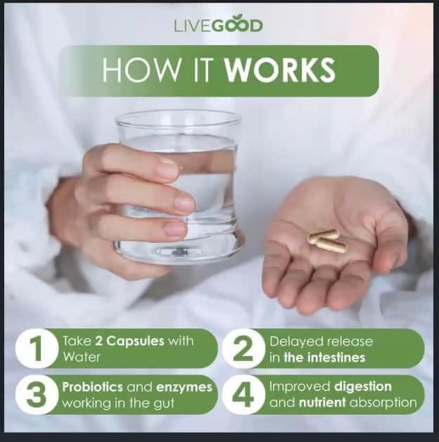Probiotic Gut Support, 60 Capsules, 60 Billion CFU Probiotics, Digestive Enzymes